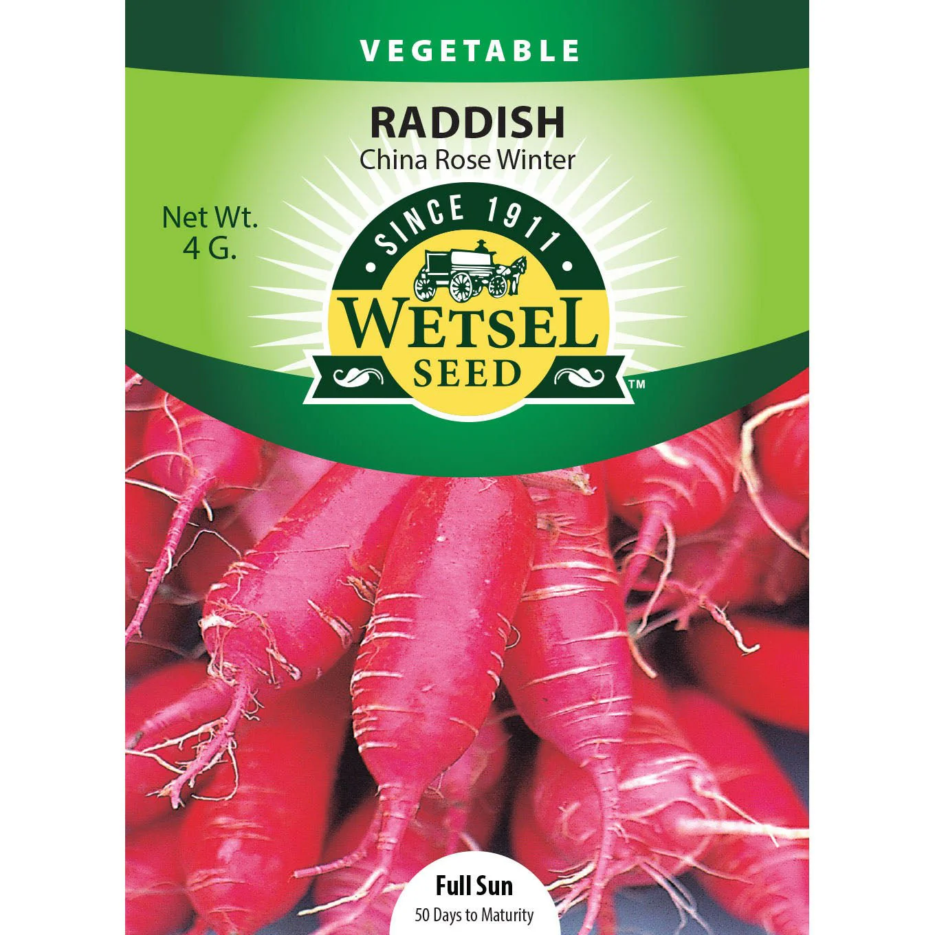 Wetsel Seed™ China Rose Winter Radish Seed