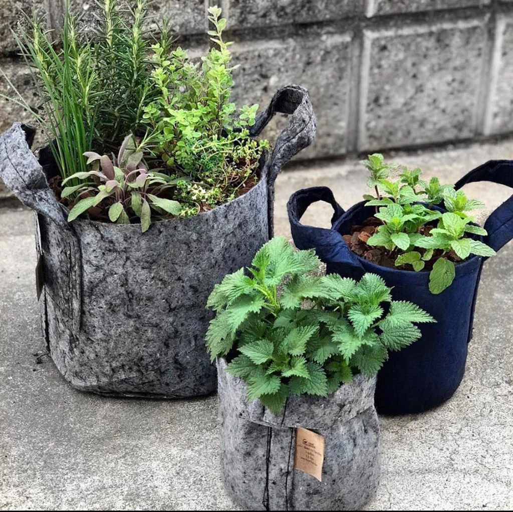 Root Pouch Grey Fabric Pot - 1 to 15 Gallon - Image 3