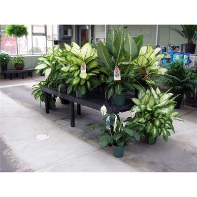 Benchmaster™ Single Level Display Bench - Image 12
