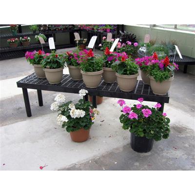 Benchmaster™ Single Level Display Bench - Image 13