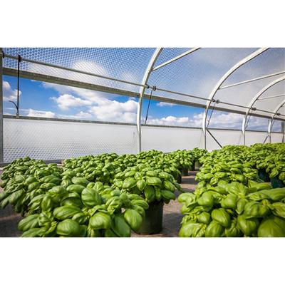 SolaWrap Greenhouse Covering Bulk Roll