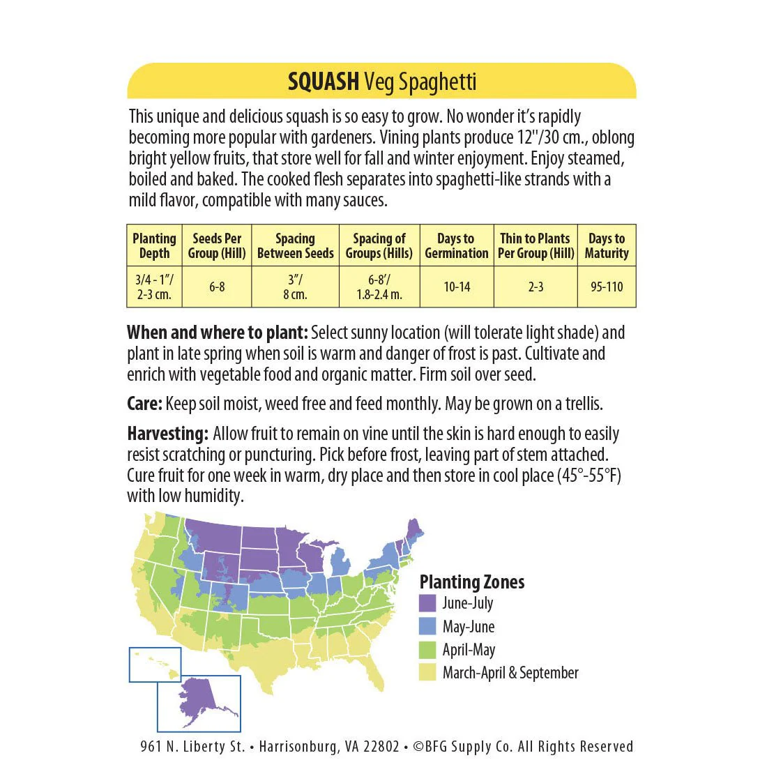 Wetsel Seed™ Spaghetti Squash Seed - Image 2