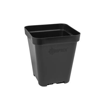 SUNPACK® Heavy-Duty Color Seed Starting Pot 5" Square - Image 2