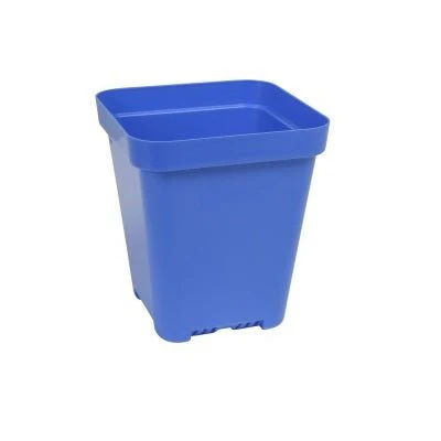 SUNPACK® Heavy-Duty Color Seed Starting Pot 5" Square - Image 3