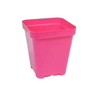 SUNPACK® Heavy-Duty Color Seed Starting Pot 5" Square - Image 6