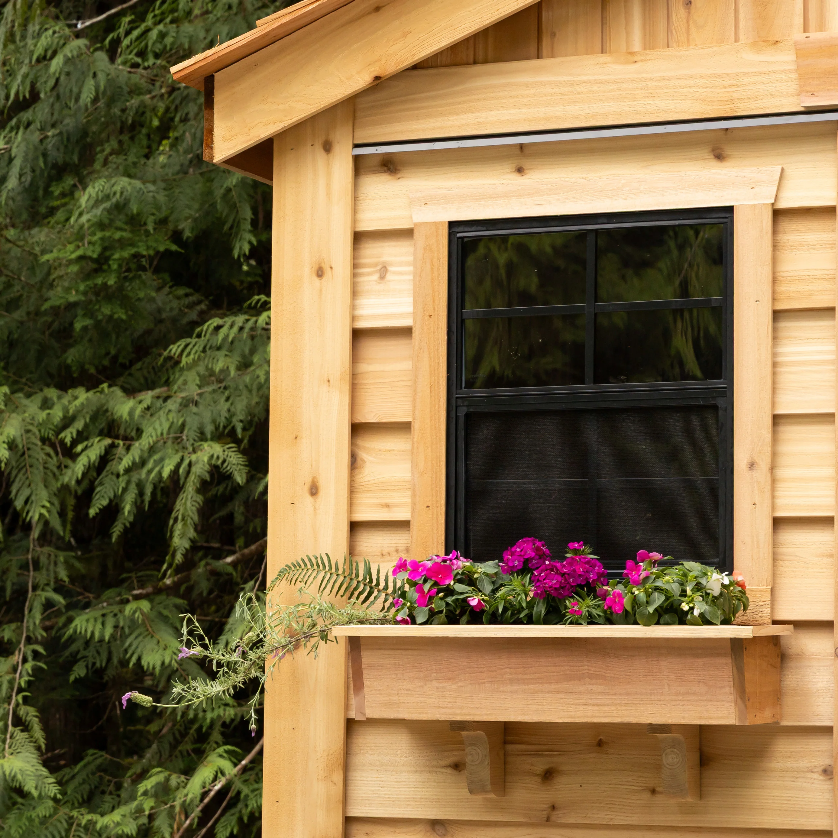 SunShed Garden Building and Greenhouse Kit 8 x 8 ft. with 6mm Twin-Wall Polycarbonate and Cedar Wood Frame - Image 6