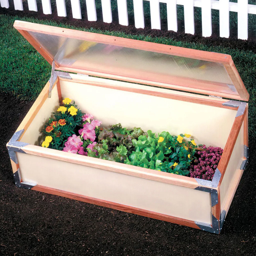 Sunshine GardenStarter Kit