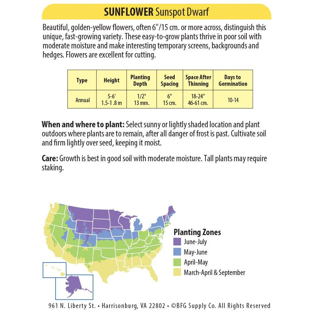 Sunspot Dwarf Sunflower Seed Packet - Image 2