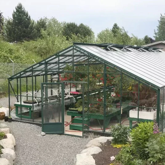 Traditional Glass Greenhouse Kit with 3mm Tempered Glass and Aluminum Frame - Image 6