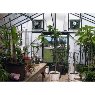 Traditional Straight Eave Greenhouse Kit with 6mm Twinwall Polycarbonate Panels and Aluminum Frame - Image 6