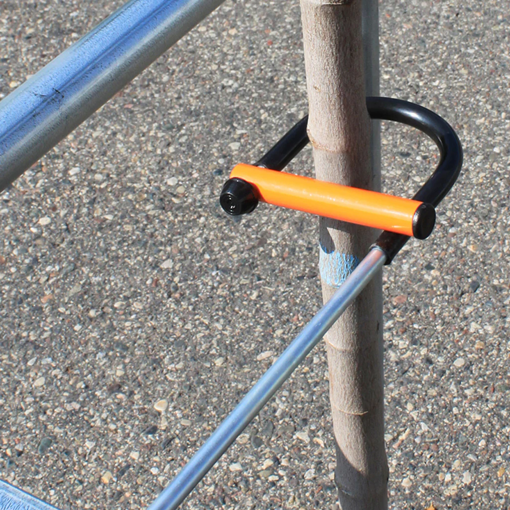Tree Display System - Image 5