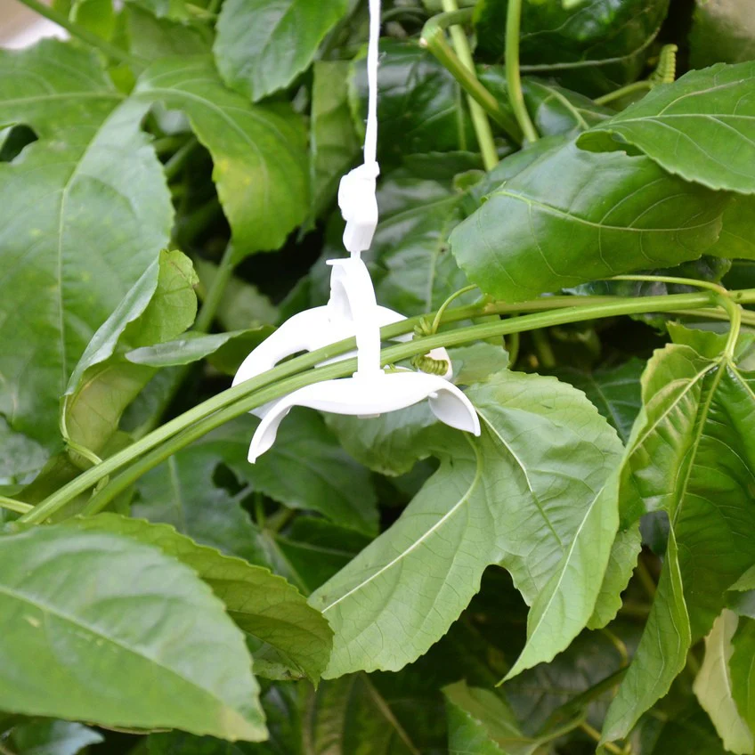 Tomato Roller Kit for Palram - Canopia Greenhouses - Image 3
