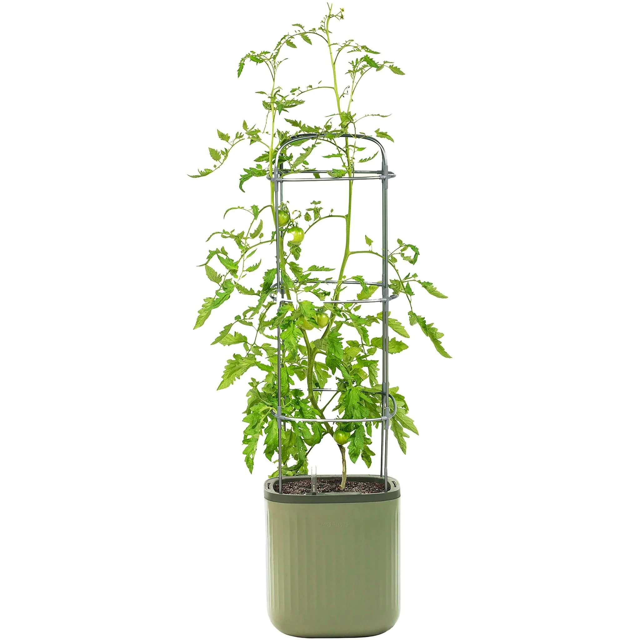 Vego Garden® EZ Self-Watering Tomato Planter with Trellis