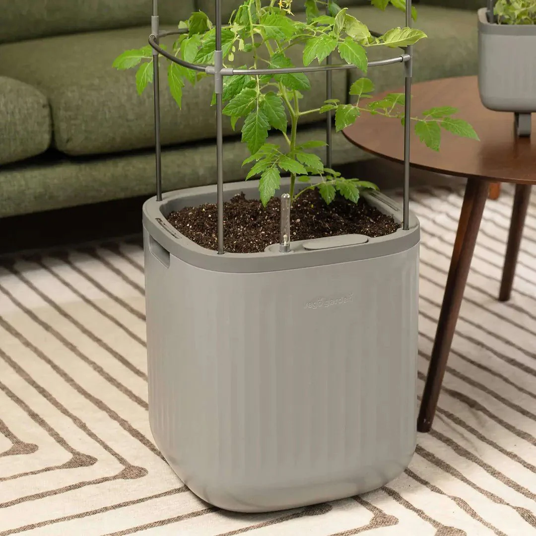 Vego Garden® EZ Self-Watering Tomato Planter with Trellis - Image 2