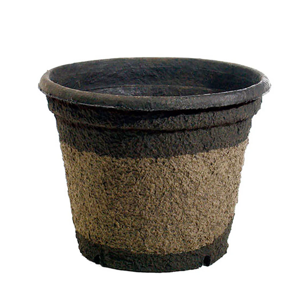 Western Pulp Large Containers - Image 3