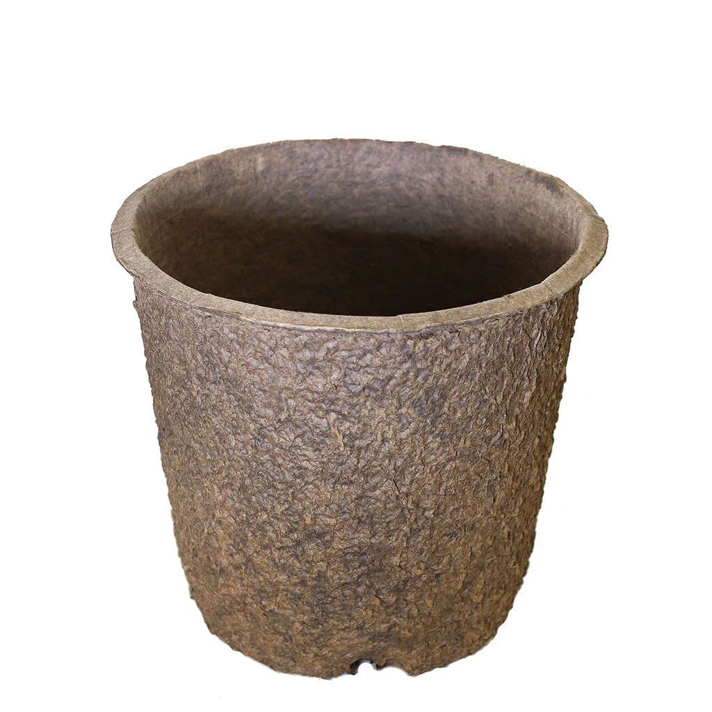 Western Pulp Round Pots - Image 9