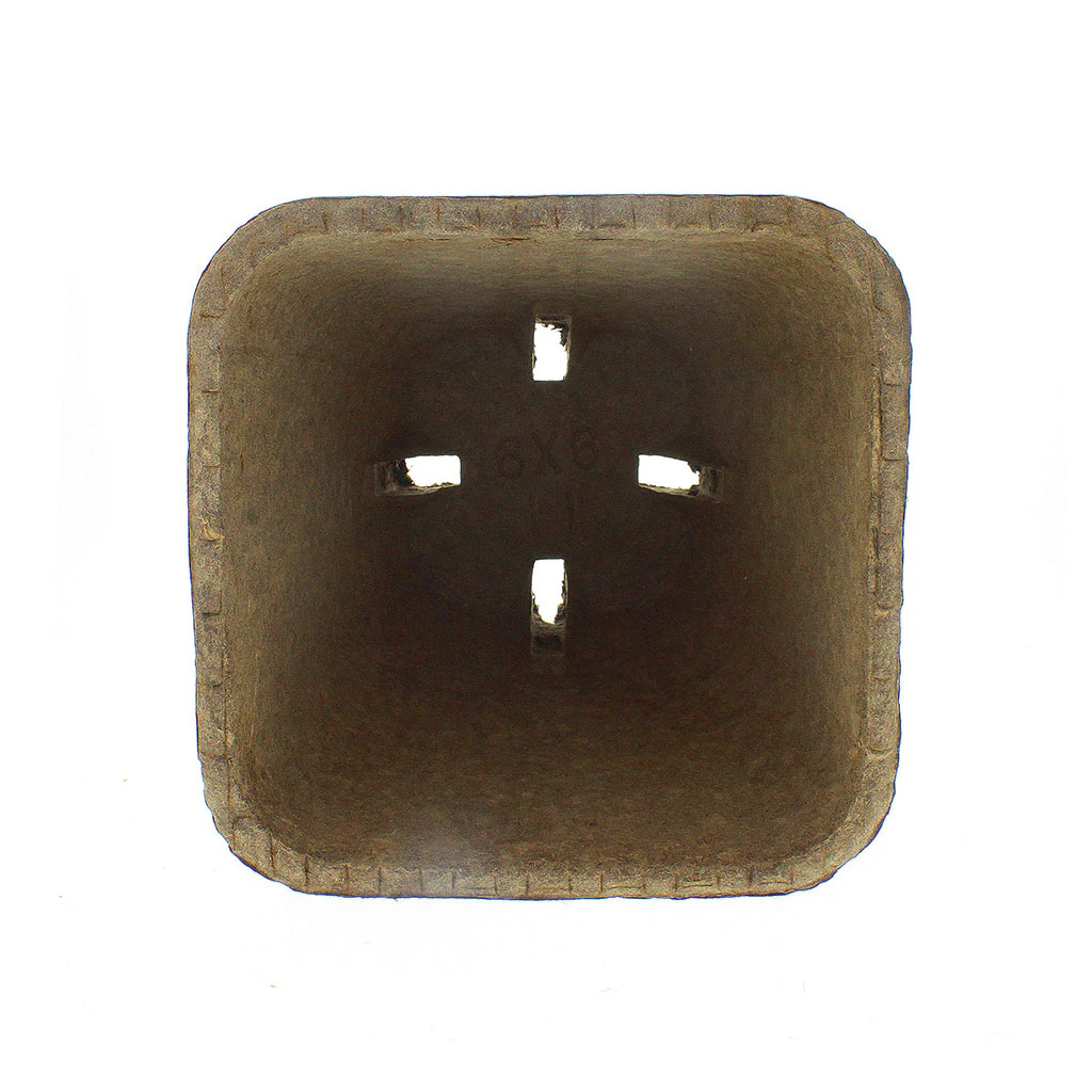 Western Pulp Square Pots - Image 4
