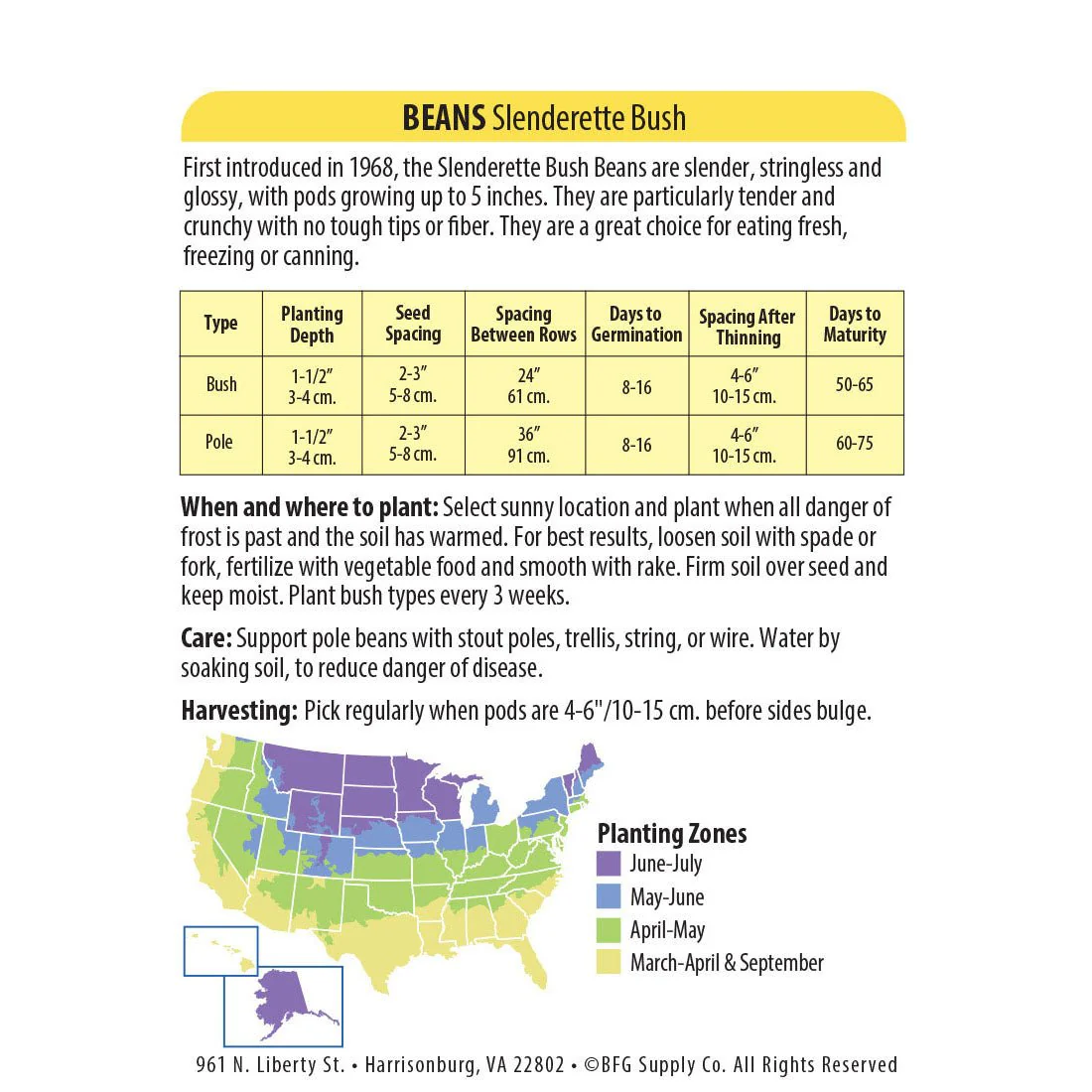 Wetsel Seed™ Slenderette Bush Bean Seed - Image 2